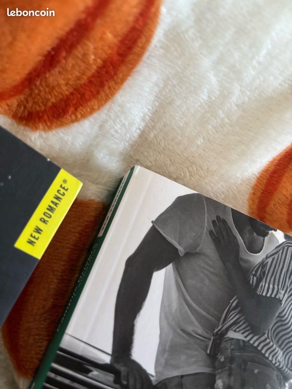 Lot livres new romance universitaire (image 2)