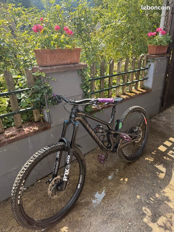 Canyon spectral cf 8 2023 carbone (image 3)