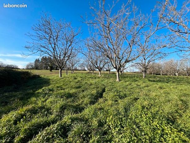 Terrain 1 328 m² Liourdres