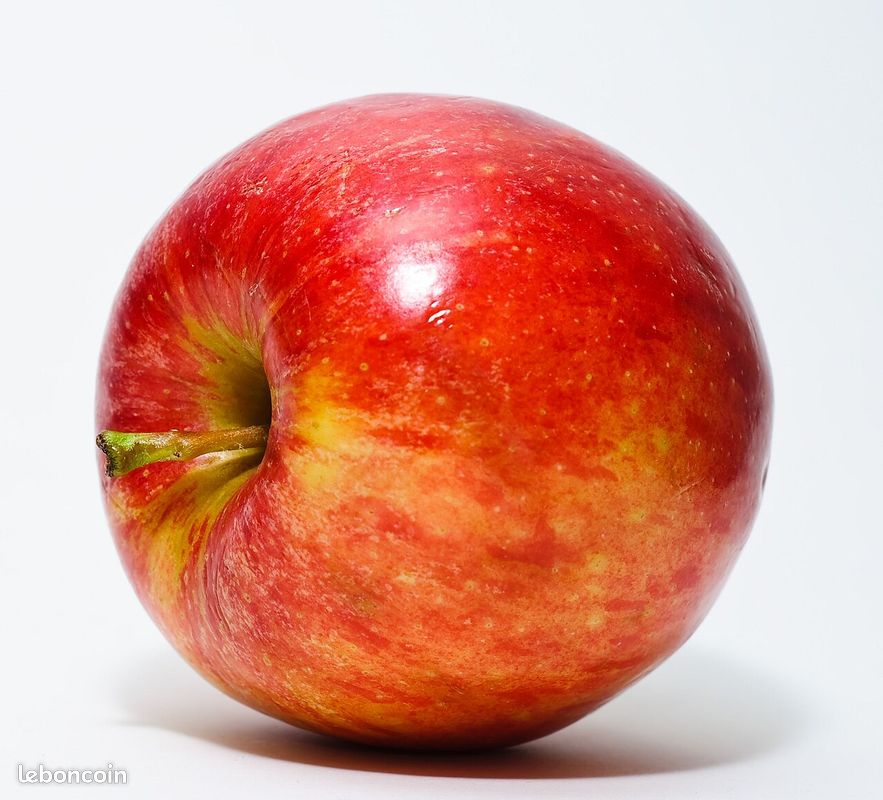 Recherche pomme pour jus de pomme (image 1)