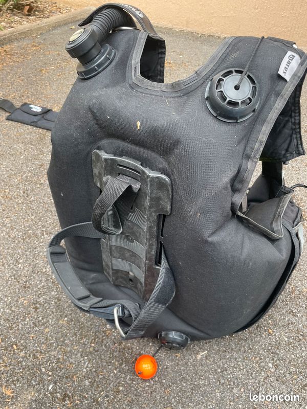 Stab Mares (image 2)