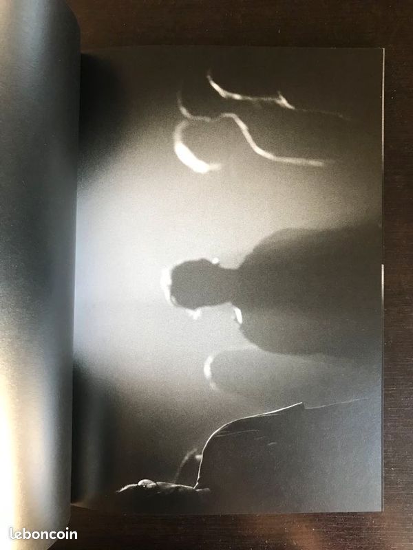 Meyer : Lunacy (image 9)