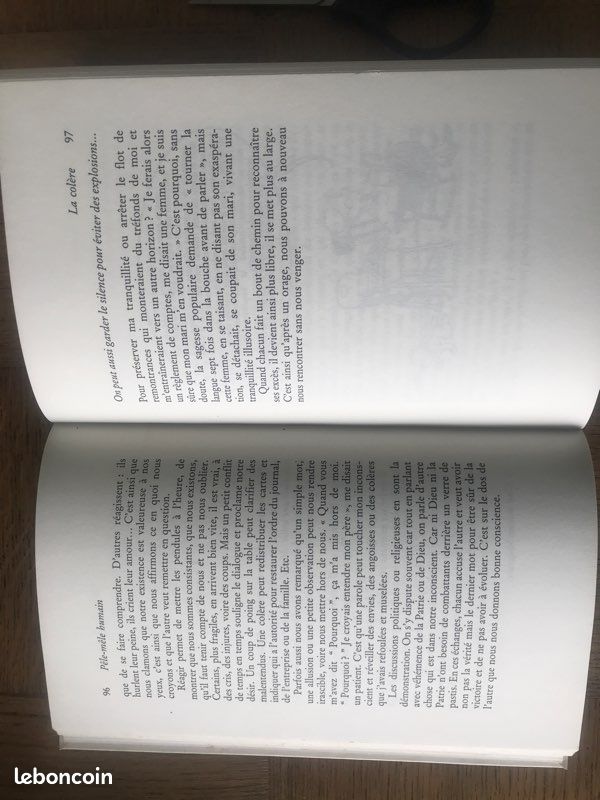 Un bonheur est si vite arrivé de Gérard Sévérin (image 3)