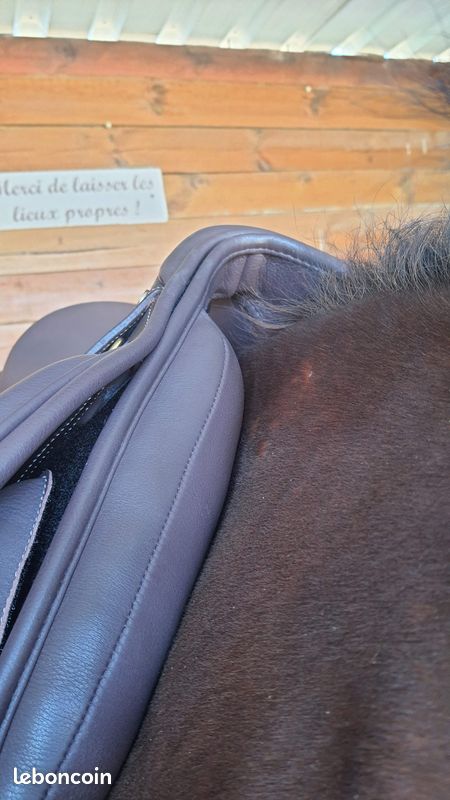 Selle cheval neuve Éric Thomas (image 2)