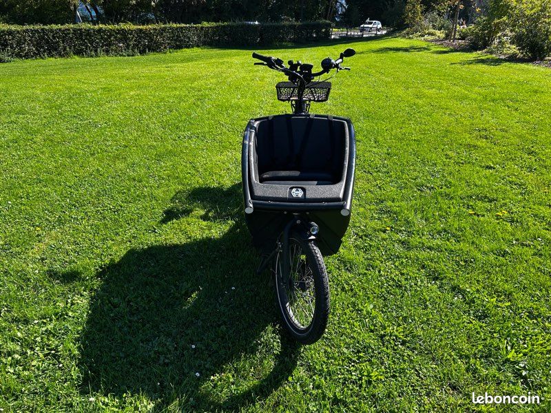 Vélo cargo Urban Arrow Family (image 5)