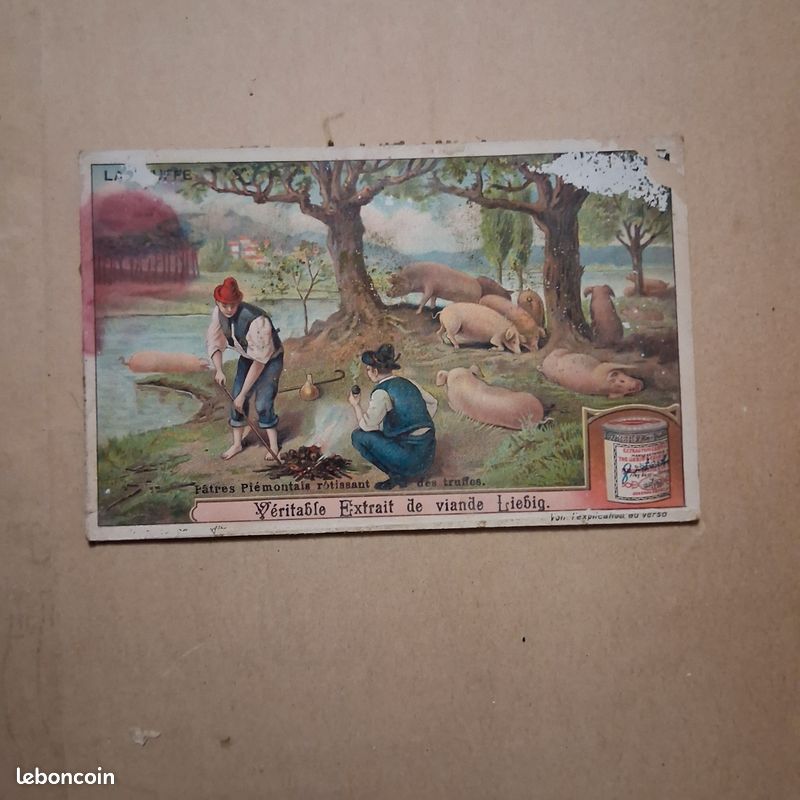 Image Liebig la truffe (image 1)