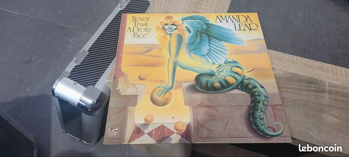 Disque vinyle (image 1)