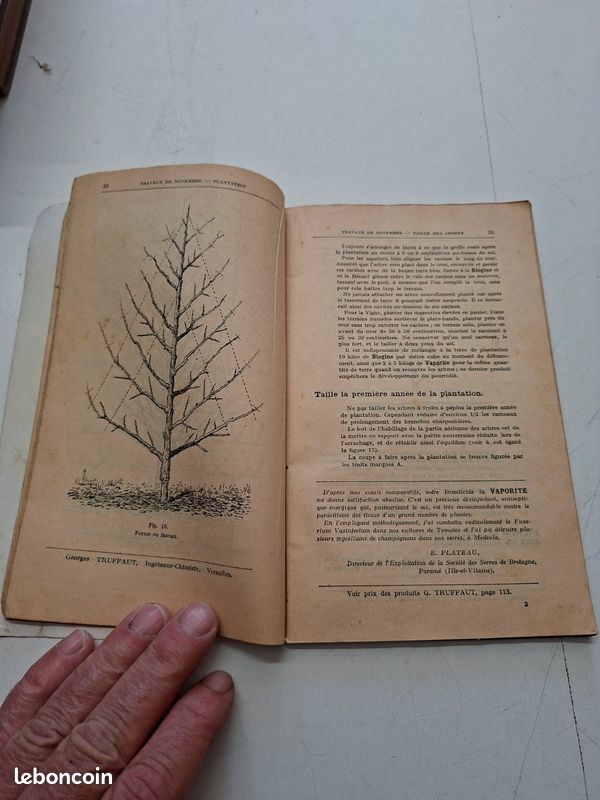 3567H: Comment On Soigne Son Jardin Automne Hiver Georges Truffaut Ancien (image 3)