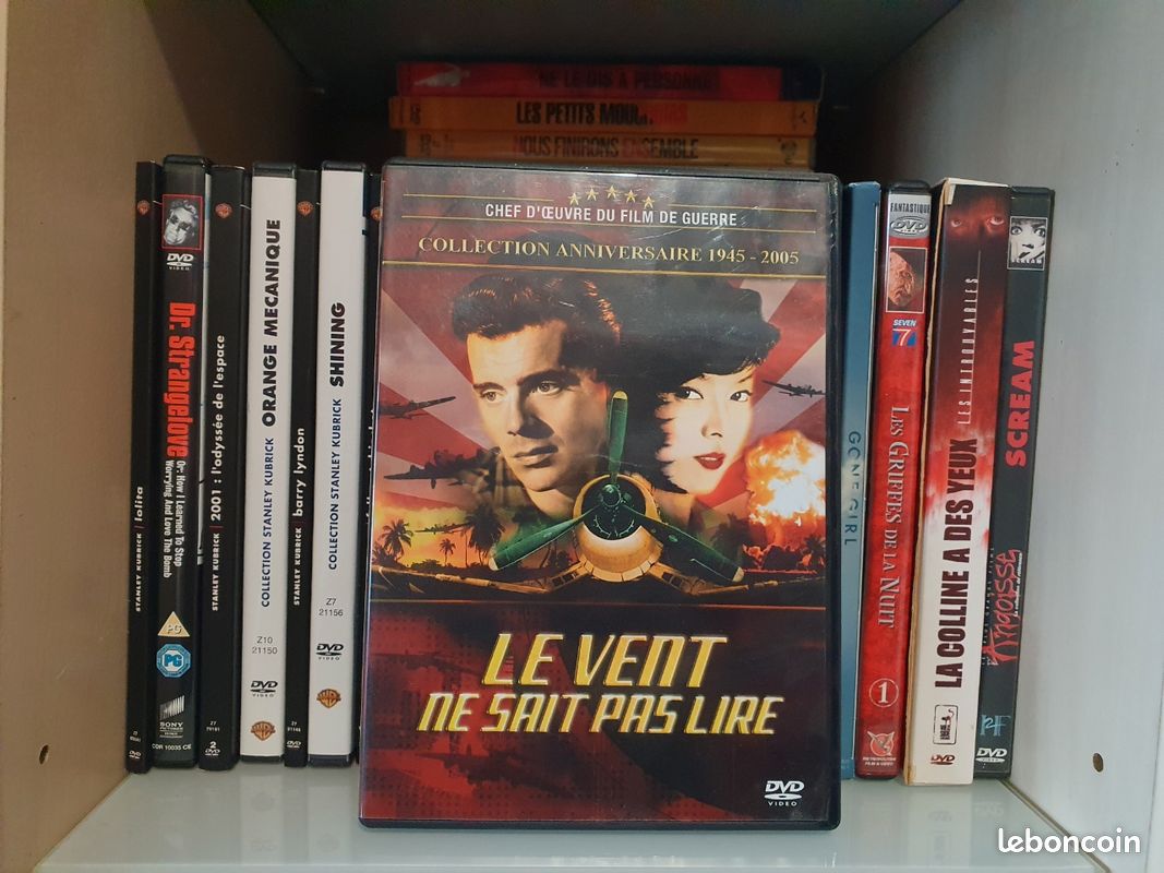 DVD Le Vent Ne Sait Pas Lire (image 1)