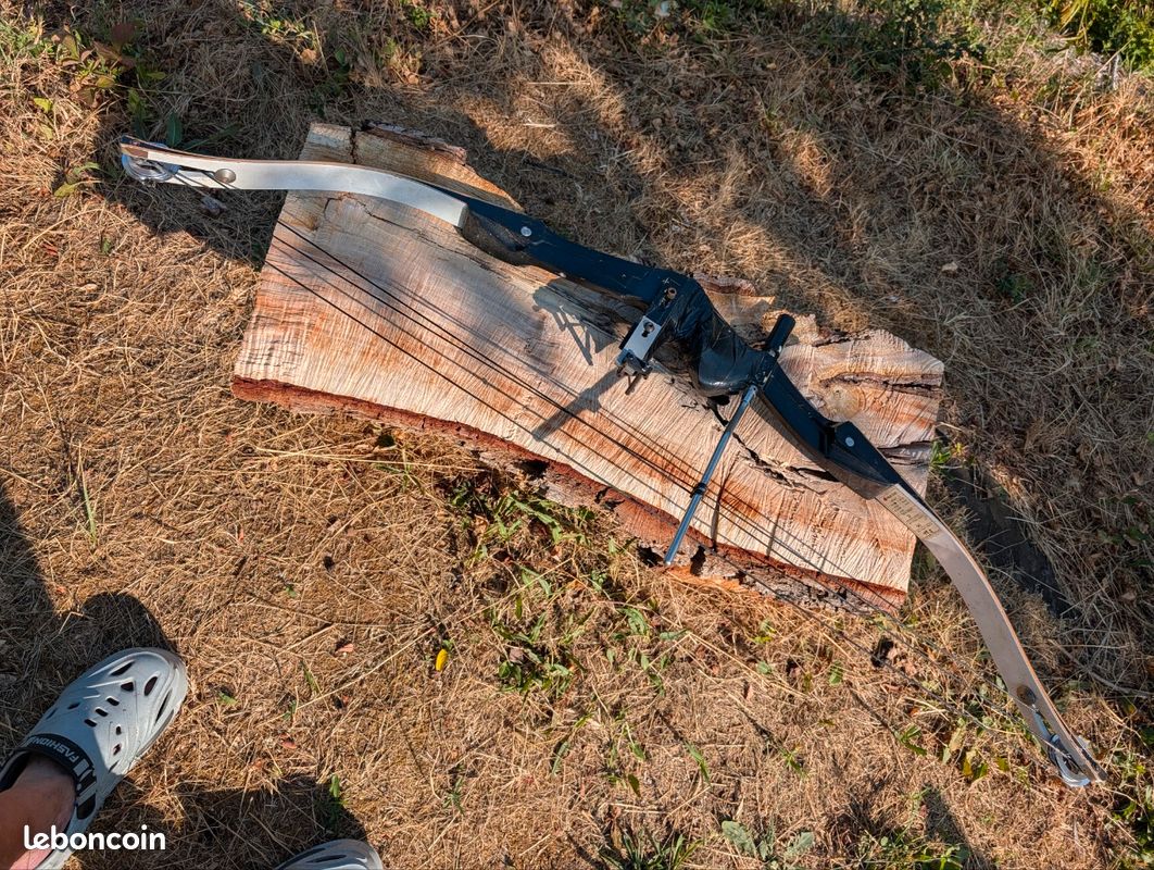 Arc a poulies, compound. HOYT Proventage (image 1)