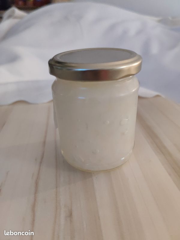 Kefir de fruits (image 1)