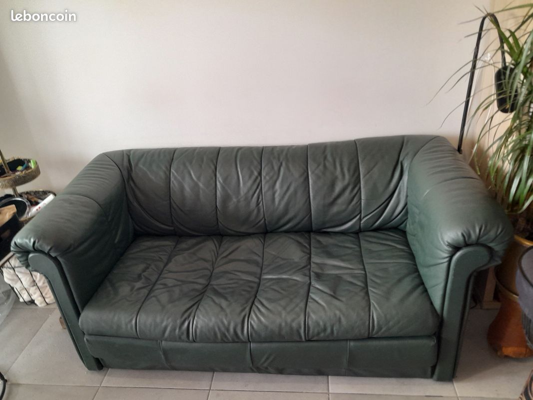 Superbe canapé cuir vert foncé (image 7)