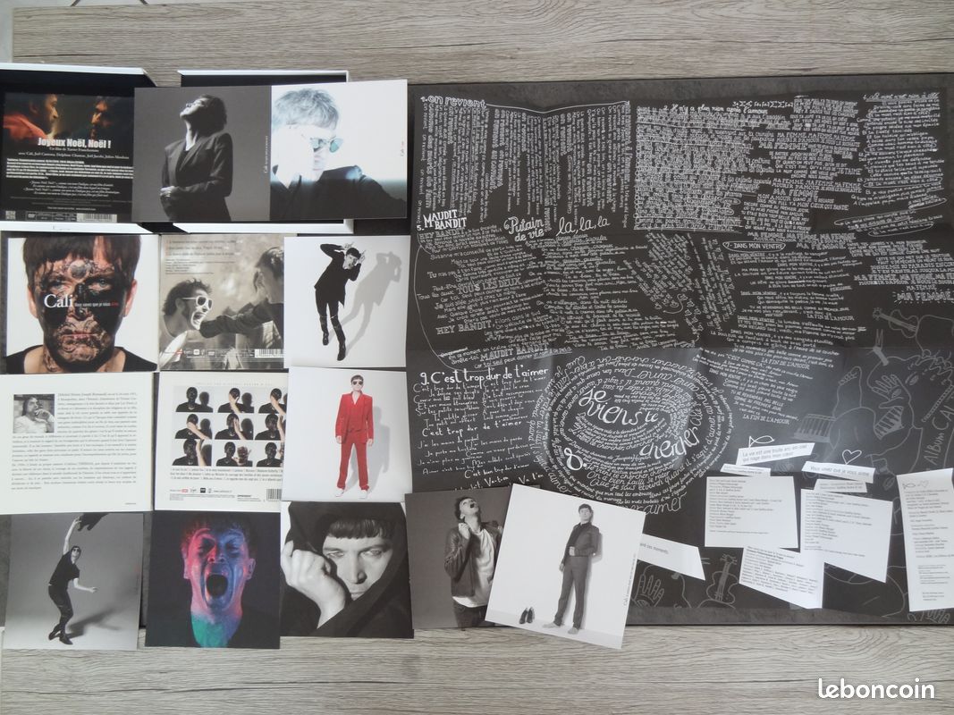 CALI lot de 6 DVD et 3 CD et livre et livret poster et cartes (image 7)