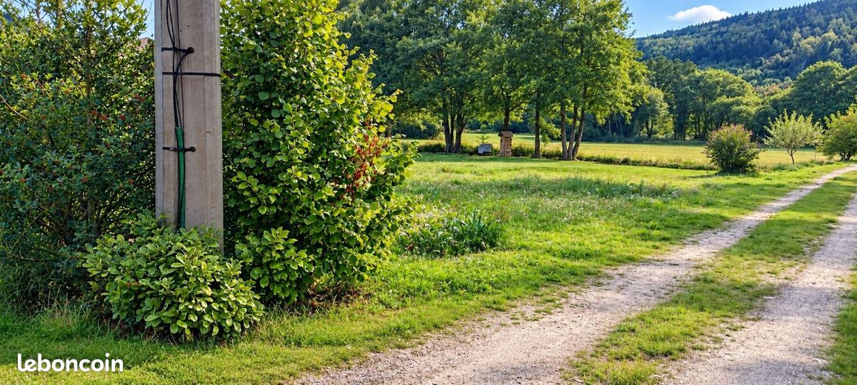 Terrain 1240 m² · à Ban-sur-Meurthe-Clefcy · 36 000 €