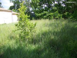 Terrain 600 m² Lussan