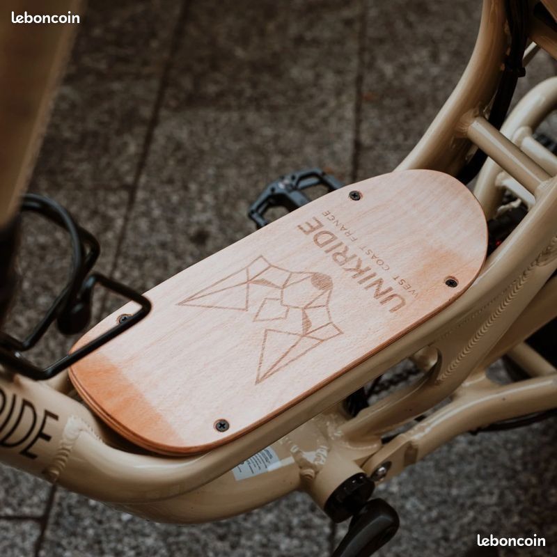 Vélo Électrique Cargo Biplace Fatstreet X Trail cadre bas – inckus GPS ANTI VOL (image 2)