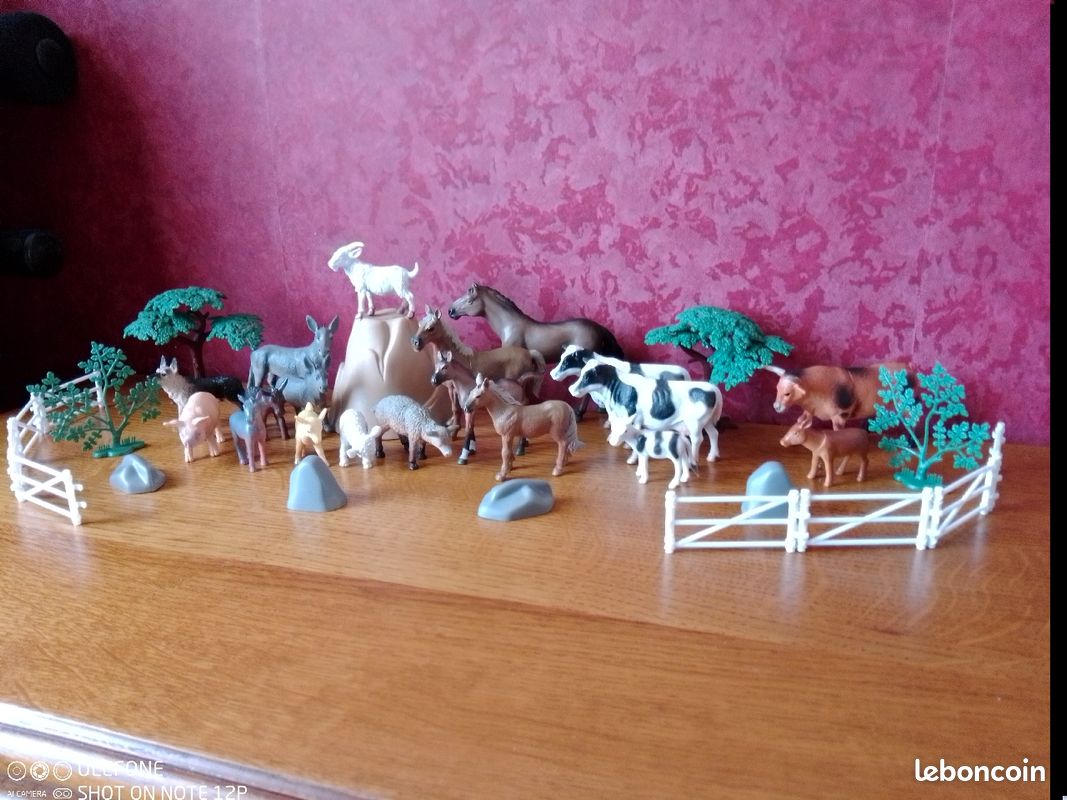 Vend animaux de la ferme (image 2)