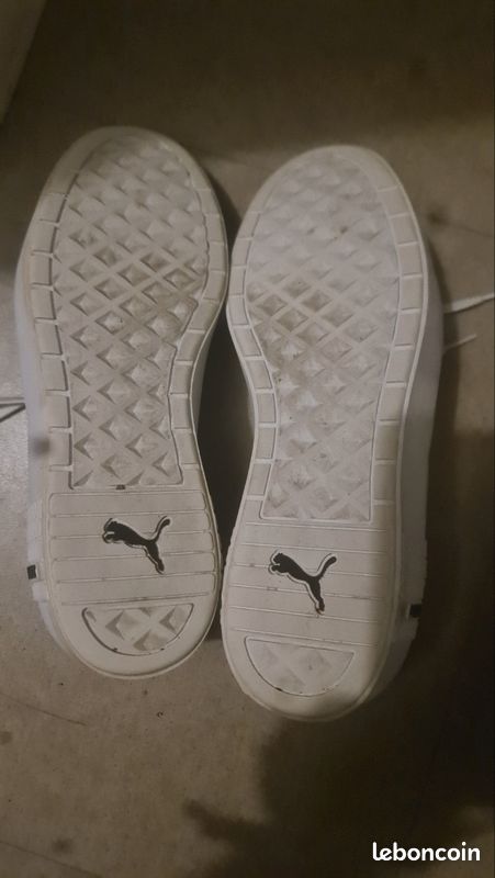Puma (image 3)