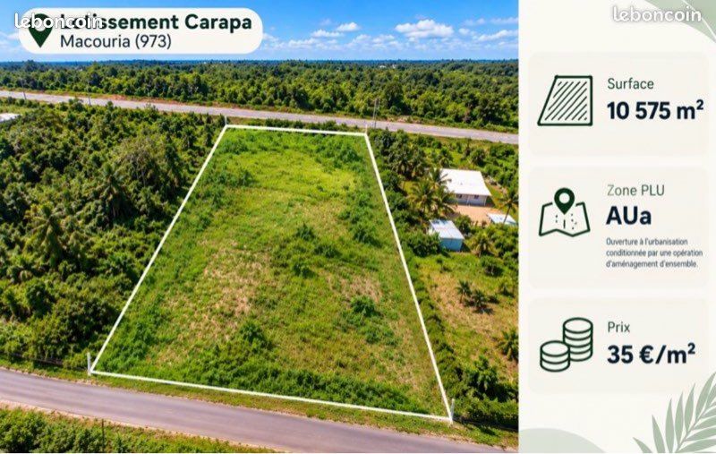 Terrain double accès routier carapa 1 hectare · à Macouria · 315 000 €