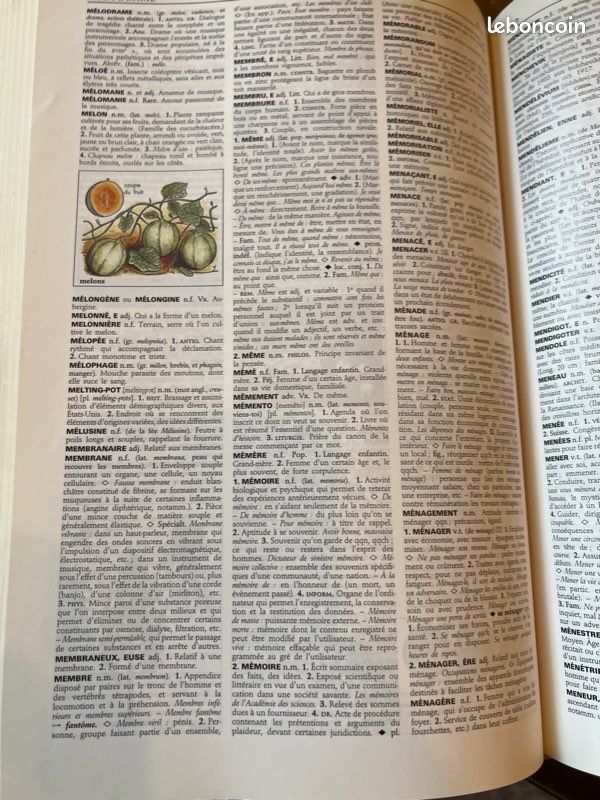 Le petit larousse Grand Format (image 5)