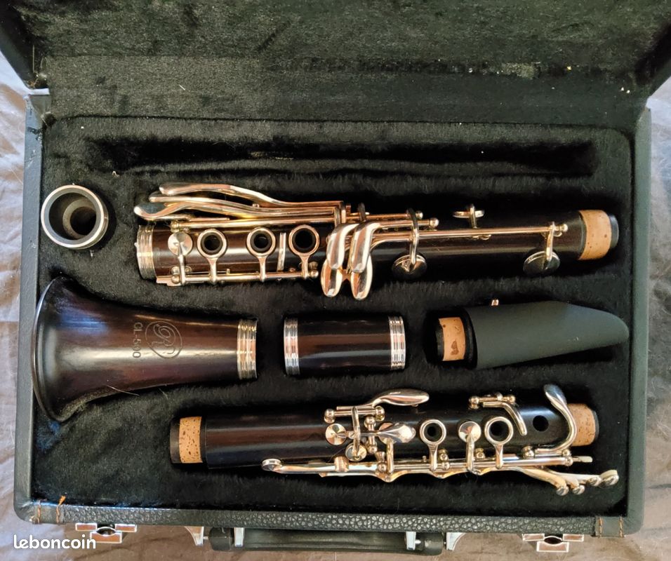 Vends clarinette Rosedale (image 1)