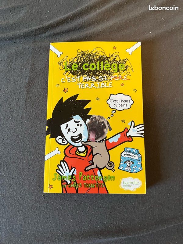 Livre le collège, c’est pas si terrible (image 1)