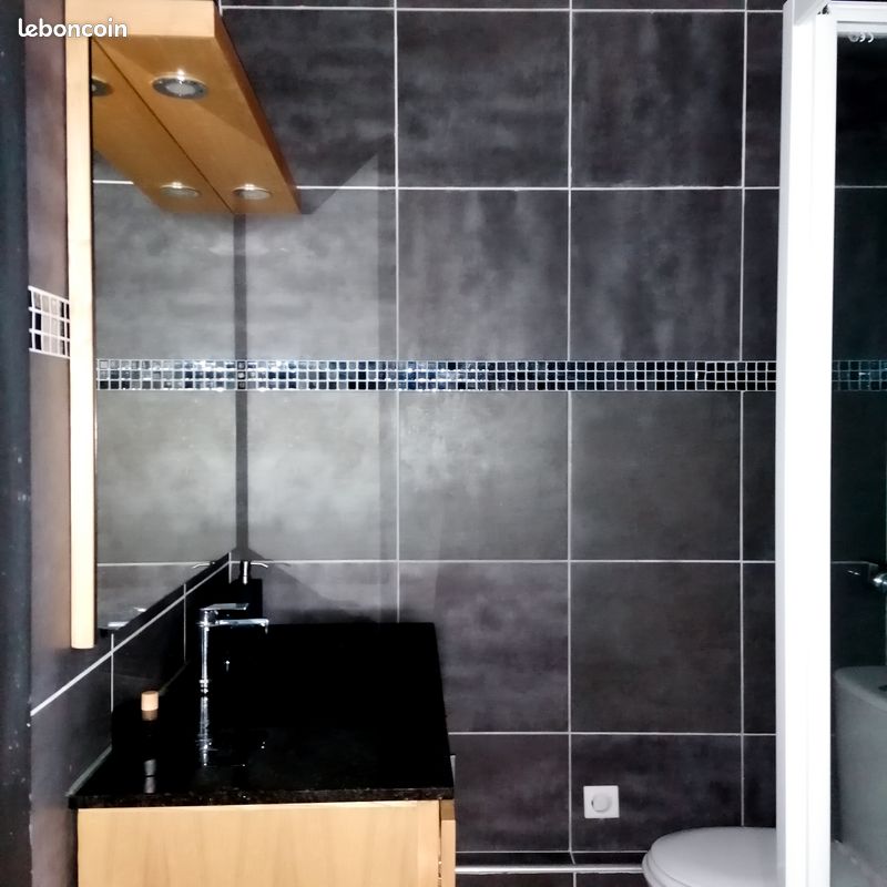 Appartement Type 3 / Design Contemporain - Limoges 87000 Centre-Hôtel de Ville Emailleurs (image principale 6)