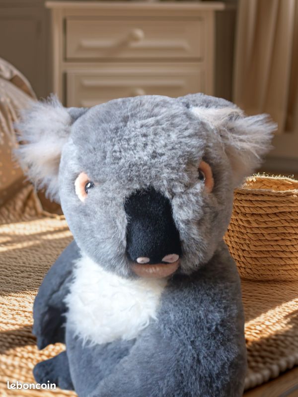 Sublime peluche animal Koala réaliste National Geographic