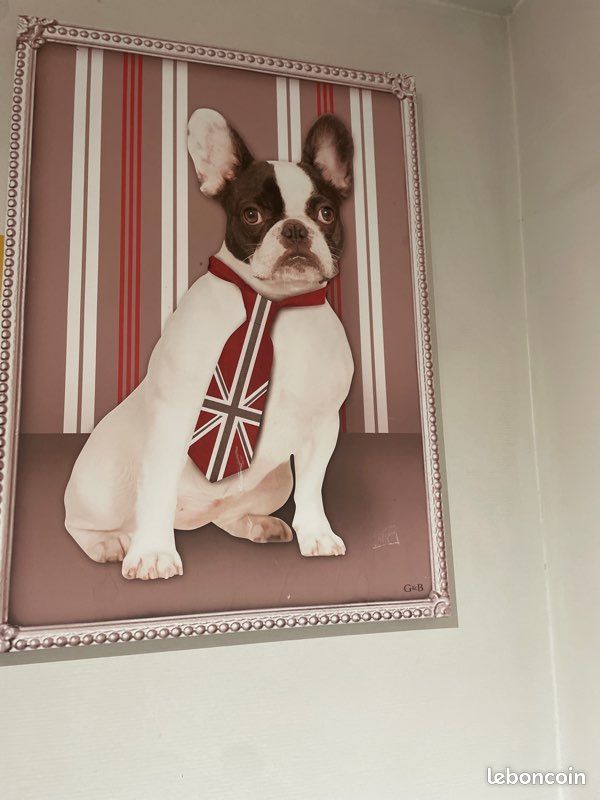 Tableau chien (image 1)