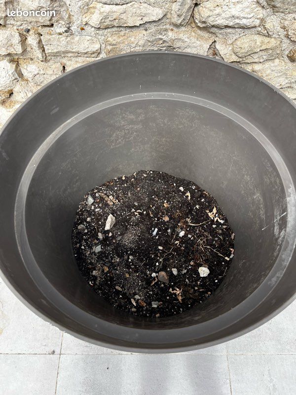 Pot de fleur (image 2)