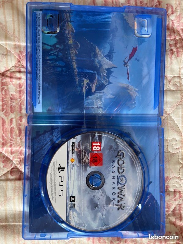 Lot de 2 jeux : god of war ps4 + god of war ragnarok ps5 (image 6)