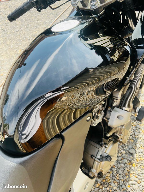 600 Hornet (image 3)