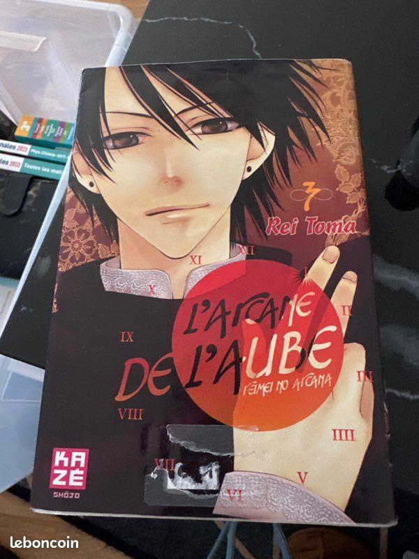 L’arcane de l’aube (image 2)