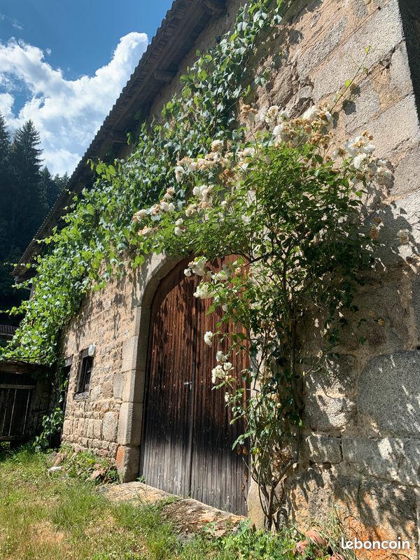 Gîte de charme, au cœur d'un moulin du XVIIème (image 10)