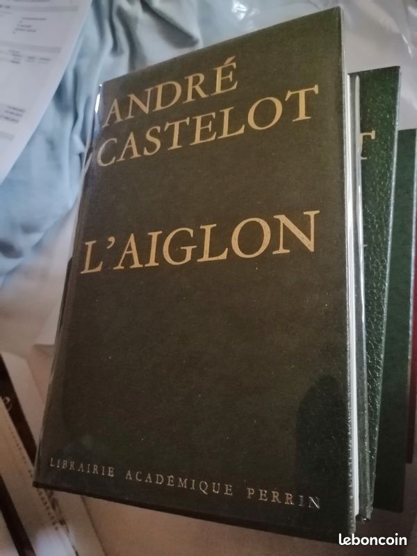 Castelot l'aiglon (image 1)