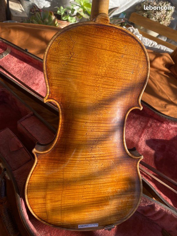 Violon adulte début XXe (image 4)