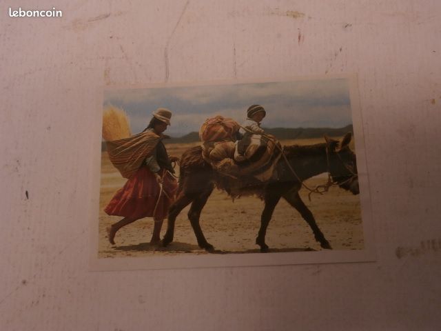 Ancienne image N°34 des collection scolaire Les Mini-Reporters - Album d'images Le Poulain de 1993, (image 4)