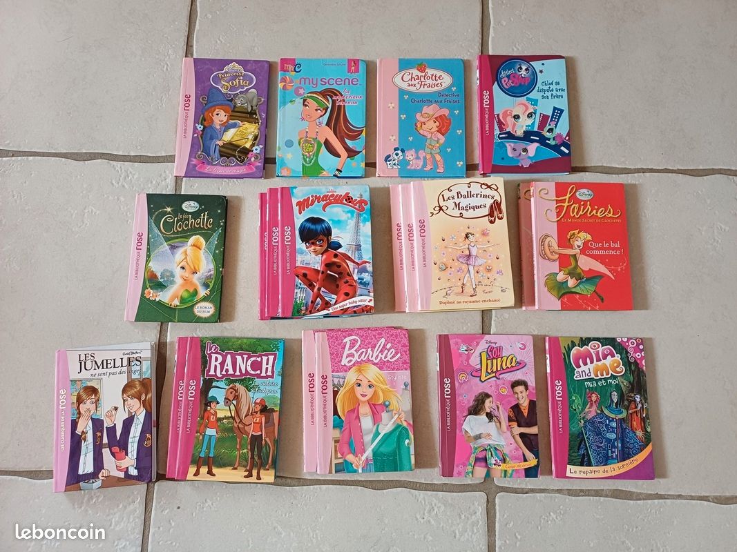 Lot Livre la bibliothèque rose (image 1)