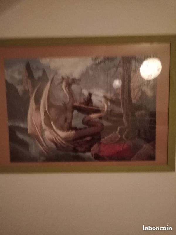 Vds cadre puzzle dinosaures prix 15.00euro (image 1)