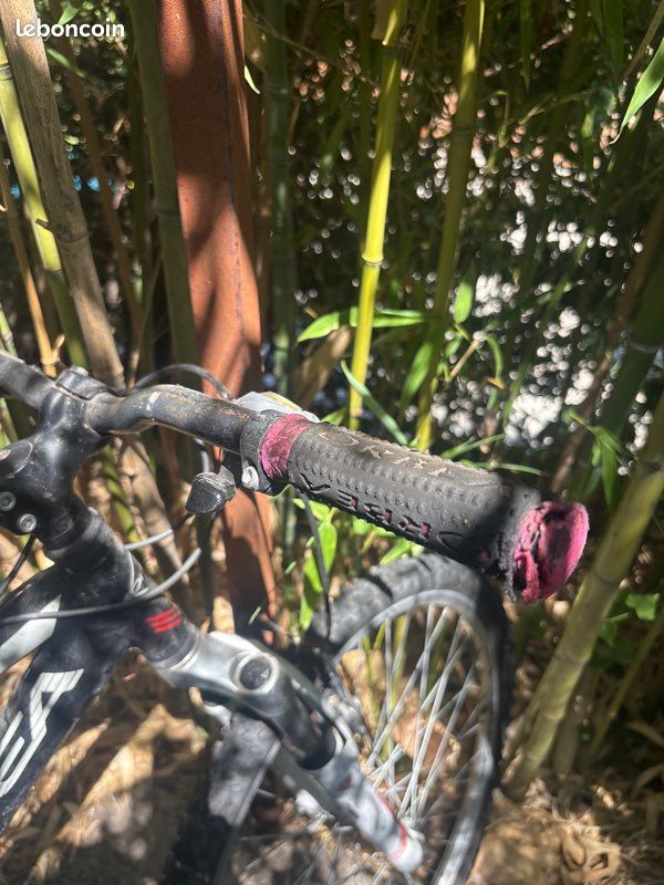 Vélo musculaire (image 2)