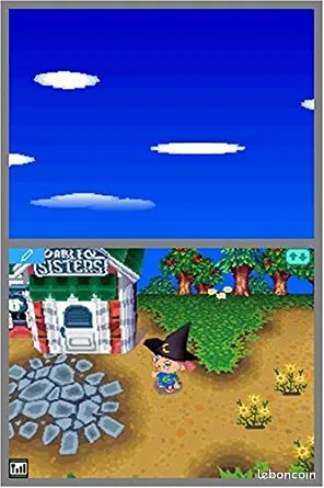 Animal crossing wild world DS (image 6)