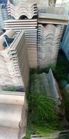 Beau Travail Tuile De Rive Mecanique Demoussant Facade