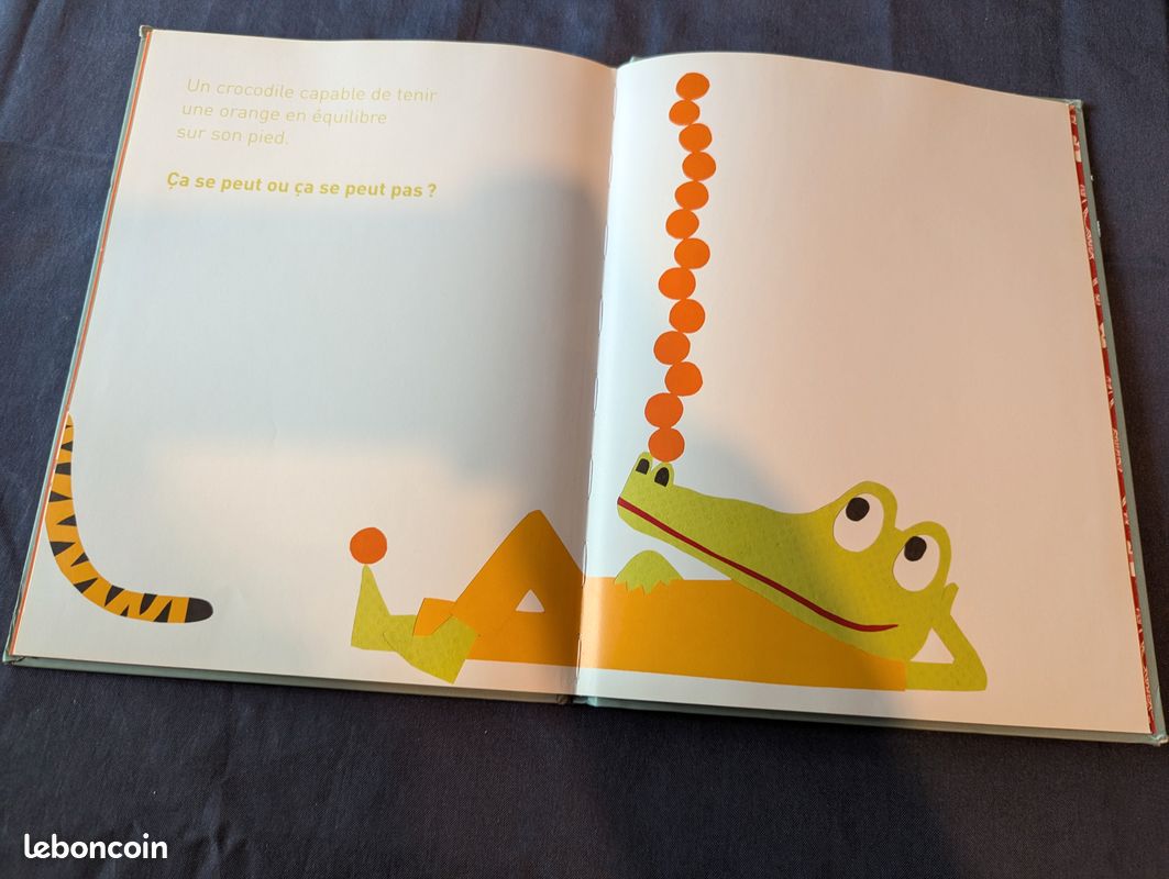 Livre pour enfant - Ça se peut ou ça se peut pas ? - Édouard Manceau - Milan Jeunesse (image 3)