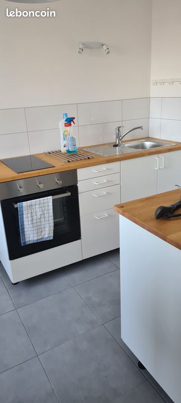 Appartement 1 pièce 30 m² · à Fleury-les-Aubrais · 30 m² · 650 €/mois