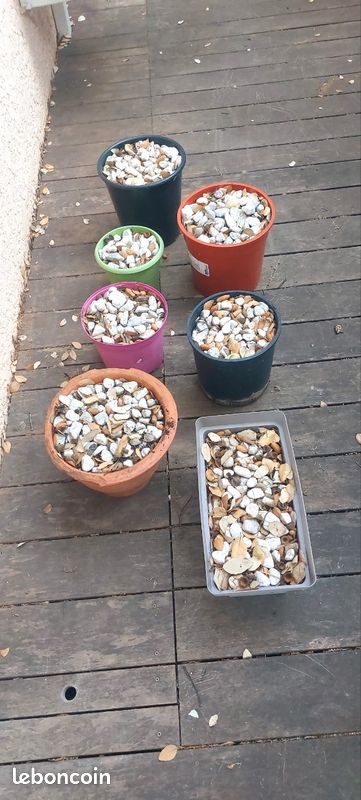 Petits cailloux blancs (image 1)