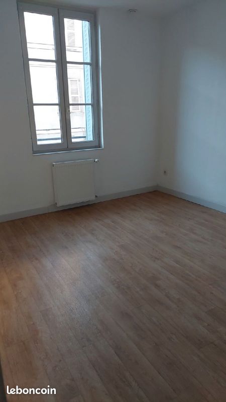 Appartement T3 rue François Perrin limoges - Limoges 87000 Centre-Hôtel de Ville Emailleurs (image principale 2)