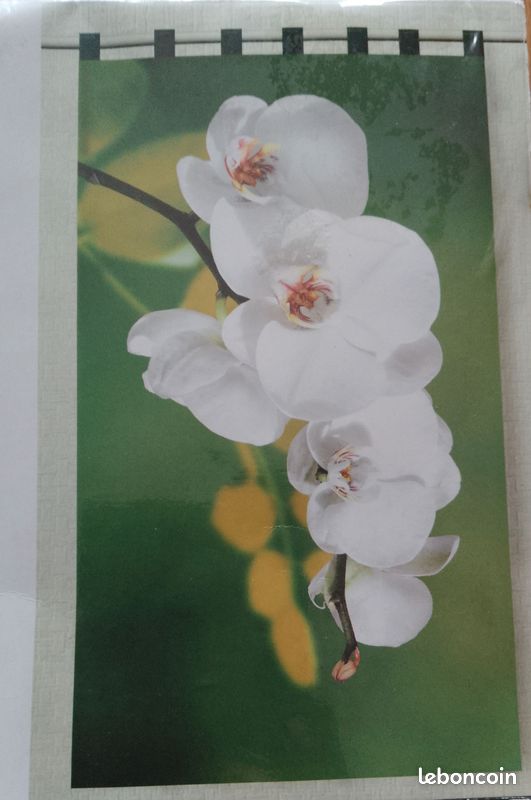 Rideau Photo Coulissant - Motif Orchidée Blanche Et Eau, Sur Mesure, Fabrication Allemande - Neuf