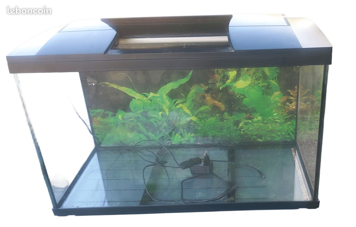 Aquarium superfish smart 100 (image 2)