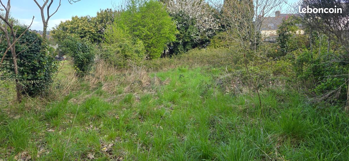 Grand terrain à louer · à Saint-Nicolas-de-Redon · 90 €