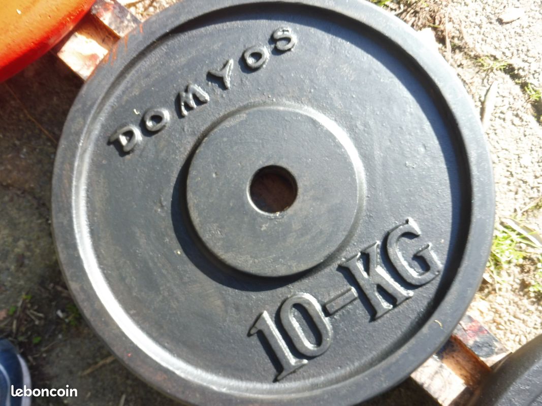 Vends 2 poids de 10 kg et de poids de 5 kg en fonte - Sport & Plein air